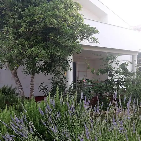 Oasis 300 Meters From The - By Ta Leut Agency Privlaka (Zadar)