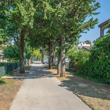 Oasis 300 Meters From The - By Ta Leut Agency