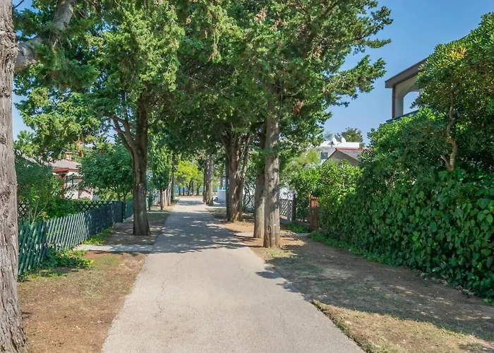 Oasis 300 Meters From The - By Ta Leut Agency